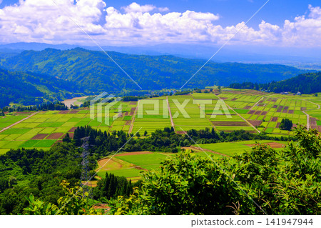 A view from Yamamotoyama Plateau in summer A view from Yamamotoyama Plateau in summer 141947944