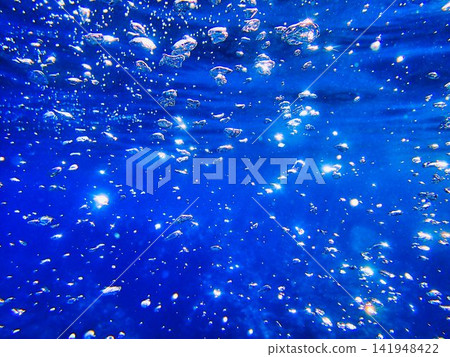 Underwater photograph Underwater photograph 141948422