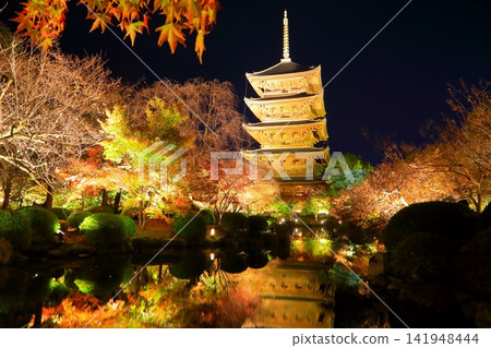 東寺五重塔的秋天(京都市燈光秀) 東寺五重塔的秋天(京都市燈光秀) 141948444