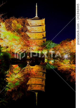 東寺五重塔的秋景(燈光照耀,京都市,豎幅構圖) 東寺五重塔的秋景(燈光照耀,京都市,豎幅構圖) 141948445