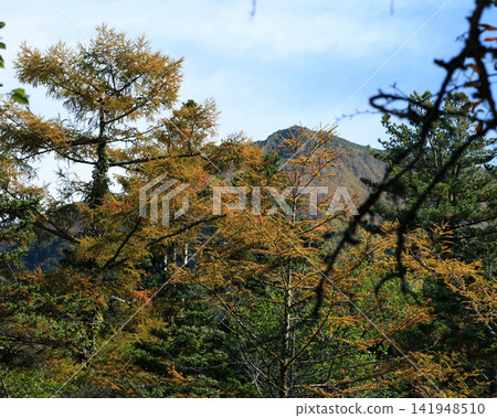 瀑布富山縣的名稱 瀑布富山縣的名稱 141948510