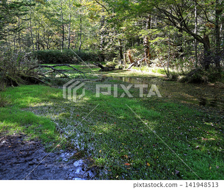 Name of waterfall Toyama prefecture Name of waterfall Toyama prefecture 141948513