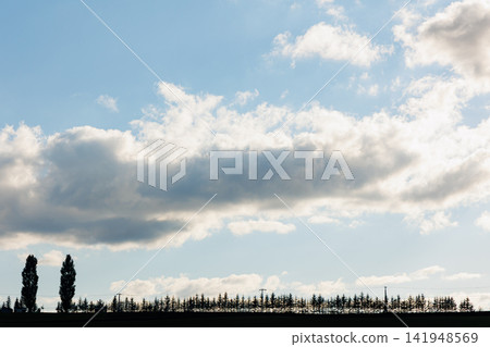 美瑛的山丘(北海道的秋天) 美瑛的山丘(北海道的秋天) 141948569