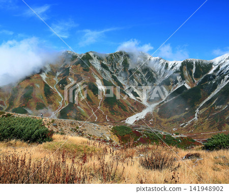 Tateyama Muro Tateyama Muro 141948902