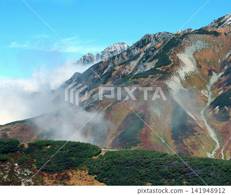 Tateyama Muro Tateyama Muro 141948912