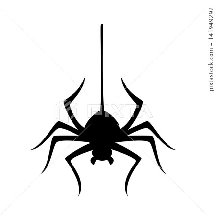 Halloween spooky poisonous spider hanging on cobweb string silhouette. Halloween scary swinging on web string spider, spooky dangerous insect vector. Creepy tarantula or black widow or silhouette 141949292