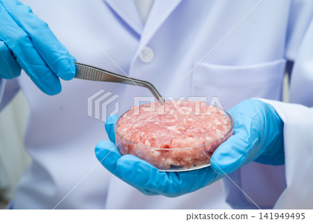 Scientist holding Petri dish with meat in science laboratory for food product development. 141949495