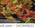 屋頂上覆蓋著秋葉。 141949622