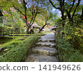 寺廟入口處被初秋絢麗多彩的秋葉所環繞。 141949626