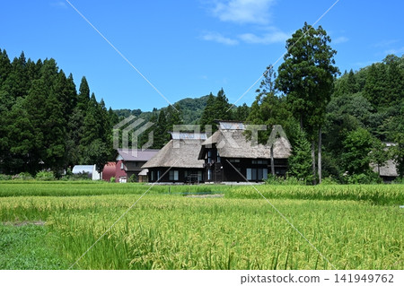 A quintessential Japanese landscape (Oginoshima Circular Thatched-Roof Village, Niigata) A quintessential Japanese landscape (Oginoshima Circular Thatched-Roof Village, Niigata) 141949762