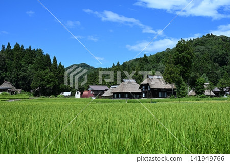 A quintessential Japanese landscape (Oginoshima Circular Thatched-Roof Village, Niigata) A quintessential Japanese landscape (Oginoshima Circular Thatched-Roof Village, Niigata) 141949766