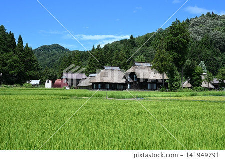 典型的日本景觀(新潟縣荻野島圓形茅草屋村) 典型的日本景觀(新潟縣荻野島圓形茅草屋村) 141949791