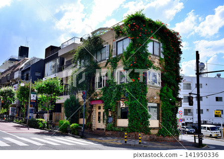 東京都澀谷區松濤文化村街 東京都澀谷區松濤文化村街 141950336