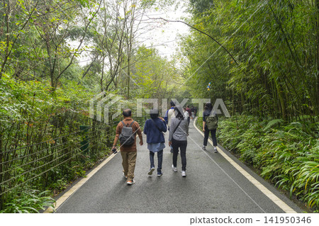 Chengdu, Sichuan, China - Oct 15,2024 : People visiting The Chengdu Research Base of Giant Panda Breeding in Chengdu, Sichuan, China on Oct 15,2024. Chengdu, Sichuan, China - Oct 15,2024 : People visiting The Chengdu Research Base of Giant Panda Breeding in Chengdu, Sichuan, China on Oct 15,2024. 141950346