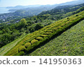 Shizuoka Prefecture, Higashiizu Town, Inatori Observation Terrace 141950363