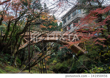 Yamanaka Onsen Koorogi Bridge and Autumn Leaves Yamanaka Onsen Koorogi Bridge and Autumn Leaves 141950456
