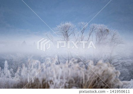 Frost (Hiruzen Plateau) Frost (Hiruzen Plateau) 141950611