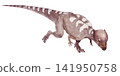Acrotorus (high-headed dinosaur) is a small pachycephalocephalus belonging to the family Pachycephalosauridae. It has a small, thick head. Acrotorus (high-headed dinosaur) is a small pachycephalocephalus belonging to the family Pachycephalosauridae. It has a small, thick head. 141950758