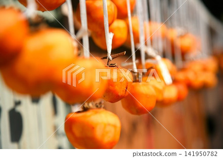 Dried persimmons hanging in a row under the eaves, with a soft background blur. Dried persimmons hanging in a row under the eaves, with a soft background blur. 141950782