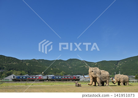 Straw Mammoth and the Yosan Line's Limited Express "Uwakai" Straw Mammoth and the Yosan Line's Limited Express "Uwakai" 141951073