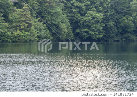 夏季的松原湖,綠樹成蔭,湖水平靜。 夏季的松原湖,綠樹成蔭,湖水平靜。 141951724