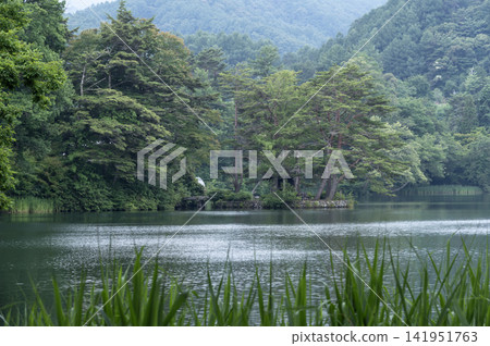 夏季鬱鬱蔥蔥、綠意盎然的山脈和松原湖 141951763
