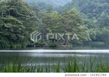 夏季鬱鬱蔥蔥、綠意盎然的山脈和松原湖 夏季鬱鬱蔥蔥、綠意盎然的山脈和松原湖 141951764