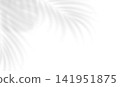 Overlay shadow of realistic tropical palm leaves. Transparent shade overlay effect isolated palm tropical leaves. Vector illustration 141951875