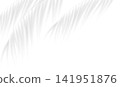 Transparent shadow overlay effect bamboo leaves isolated on transparent background. Mockup of tropic leaves shadow and natural lightning. Summer sunlight and shadow of palm branch. Vector illustration 141951876
