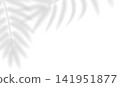 Soft palm leaf shadows. Transparent shadow overlay effect tropical leaves. Realistic shadow of palm branch. Mockup of transparent tropic fern leaves shadow and natural lightning. Vector illustration 141951877