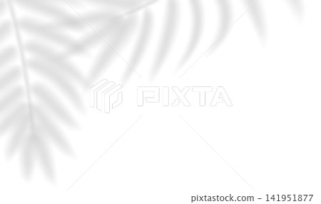 Soft palm leaf shadows. Transparent shadow overlay effect tropical leaves. Realistic shadow of palm branch. Mockup of transparent tropic fern leaves shadow and natural lightning. Vector illustration Soft palm leaf shadows. Transparent shadow overlay effect tropical leaves. Realistic shadow of palm branch. Mockup of transparent tropic fern leaves shadow and natural lightning. Vector illustration 141951877