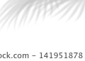 Realistic transparent shadow from leaves of palm tree isolated on transparent background. Natural blurred tropical palm branches. Mockup with tropic leaves shadow overlay effect. Vector illustration 141951878