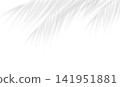 Soft transparent shadow overlay effect bamboo leaves. Realistic shadow of palm branch. Mockup of transparent tropic leaves shadow and natural lightning. Vector illustration 141951881