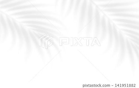 Realistic transparent shadow in summer sunlight from palm tree leaves on transparent background. Mockup with tropic leaves shadow overlay effect. Vector illustration 141951882