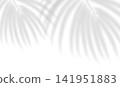 Realistic shadow in summer sunlight of palm branch. Abstract transparent shadow overlay effect tropical leaves. Mockup of transparent tropic leaves shade and natural lightning. Vector illustration 141951883