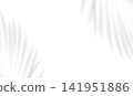 Realistic transparent soft blurred shadow from leaves of palm tree isolated on transparent background. Mockup with tropical leaves shadow overlay effect. Vector illustration 141951886