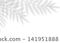 Soft transparent shadow overlay effect tropical leaves. Realistic blurred shadow of palm branch. Mockup of transparent tropic fern leaves shadow and natural lightning. Vector illustration 141951888