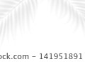 Shadow overlay effects of abstract tropical palm leaves on wall background. Realistic sunlight through tropical foliage. Mockup with tropic palm leaves shade. Vector illustration 141951891