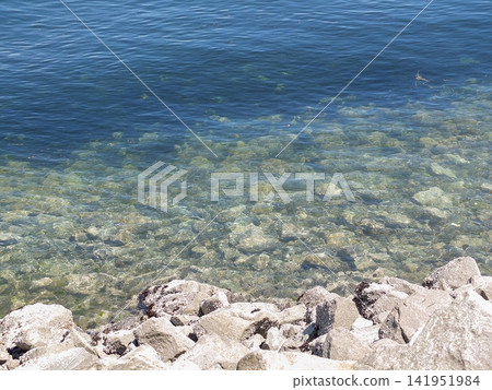 Clear transparent sea water over smooth pebbles and rocks near the shoreline of Point Ruston bay. Clear transparent sea water over smooth pebbles and rocks near the shoreline of Point Ruston bay. 141951984