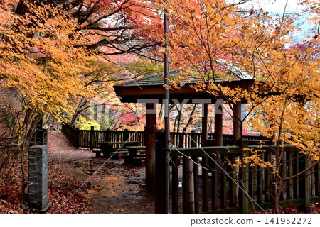 A gazebo and autumn leaves on the Shiobara Valley walking trail in Nasushiobara City, Tochigi Prefecture. A gazebo and autumn leaves on the Shiobara Valley walking trail in Nasushiobara City, Tochigi Prefecture. 141952272