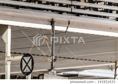 一隻麻雀棲息在火車站月台的天花板設備和架空電線配件上(長焦鏡頭,向上拍攝)。 一隻麻雀棲息在火車站月台的天花板設備和架空電線配件上(長焦鏡頭,向上拍攝)。 141952433