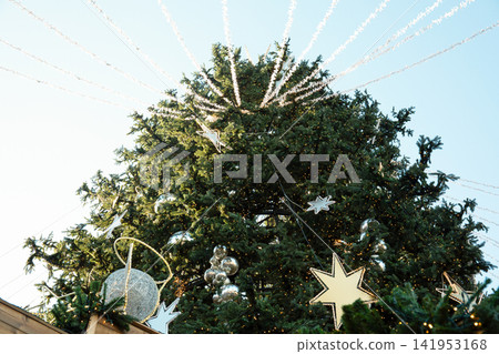 Christmas. Festively decorated christmas tree shines in the winter sunlight 141953168