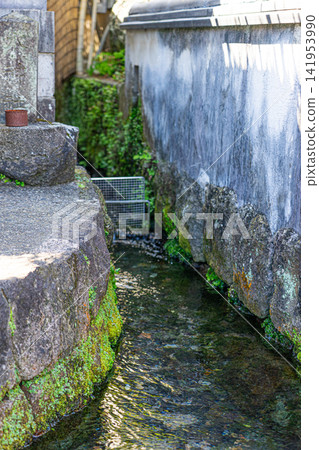 島原町小巷中，石頭的泉水渠蜿蜒流淌。 141953990