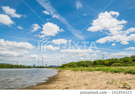 大阪府高槻市和枚方市淀川沿岸的夏日景色。 141954323