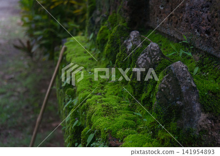 Faith shrouded in green lush grass and moss of Buddhist pagoda at Wat Tham Pla in Northern Thailand Faith shrouded in green lush grass and moss of Buddhist pagoda at Wat Tham Pla in Northern Thailand 141954893