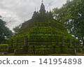Faith shrouded in green lush grass and moss of Buddhist pagoda at Wat Tham Pla in Northern Thailand 141954898