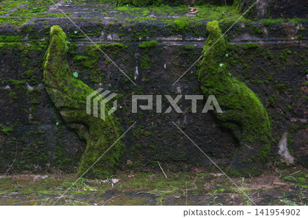 Naka shrouded in green lush grass and moss of Buddhist pagoda at Wat Tham Pla in Northern Thailand Naka shrouded in green lush grass and moss of Buddhist pagoda at Wat Tham Pla in Northern Thailand 141954902