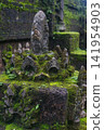 Green lush grass and moss shrouded sculpture of Buddhist pagoda at Wat Tham Pla in Northern Thailand 141954903