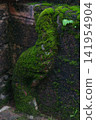 Green lush grass and moss shrouded Naka of Buddhist pagoda at Wat Tham Pla in Northern Thailand 141954904