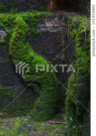 Green lush grass and moss covered Naka of Buddhist pagoda at Wat Tham Pla in Northern Thailand Green lush grass and moss covered Naka of Buddhist pagoda at Wat Tham Pla in Northern Thailand 141954905